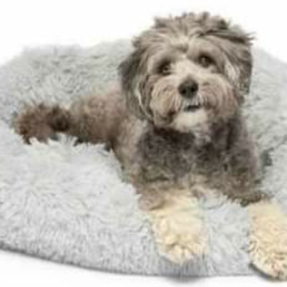 MushyBed